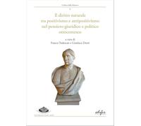 Il diritto naturale tra positivismo e antipositivismo nel pensiero giuridico e politico ottocentesco: Vol. 6 (Collana della Minerva)
