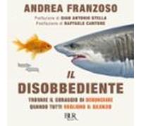 Il Disobbediente (audiolibro)