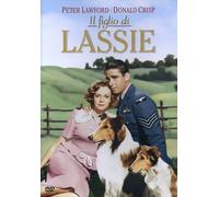 Il Figlio Di Lassie [Italia] [DVD]