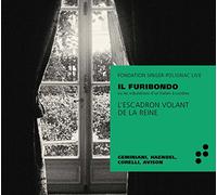 Il Furibondo