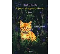 Il gatto che aggiustava i cuori (Elefanti big)