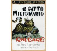 Il Gatto Milionario [Italia] [DVD]