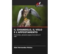 IL GHIANDOLO, IL VOLO E L'APPOSTAMENTO: Piccolo falco, planando sospeso tra la terra e il cielo