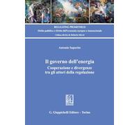 Il governo dell'energia. Cooperazione e divergenze tra gli attori della regolazione (Regulating Prometheus)