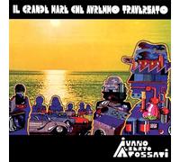 IL GRANDE AMORE CHE AVREMMO TRAVVERSATO (180G)