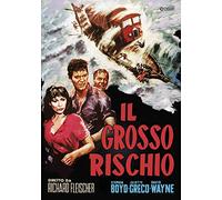 Il Grosso Rischio [Italia] [DVD]