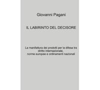 IL LABIRINTO DEL DECISORE (La community di ilmiolibro.it)