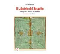 Il labirinto del sospetto. Conseguenze inattese di un amore (Il pelo nell'uovo)