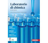 Il laboratorio di chimica. Per le Scuole superiori