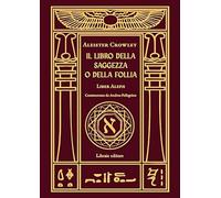 Il libro della saggezza o della follia. Liber aleph