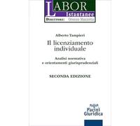 Il licenziamento individuale. Analisi normativa e orientamenti giurisprudenziali (Labor istantanee)