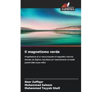 Il magnetismo verde: Progettazione di un nanocomposito di magnetite e biochar derivato da Ziziphus mauritiana per l'adsorbimento di metalli pesanti dalle acque reflue