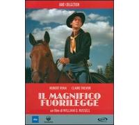 il magnifico fuorilegge
