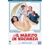 Il marito in vacanza [Italia] [DVD]