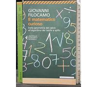 Il matematico curioso (Universale economica)