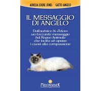 Il messaggio di Angelo