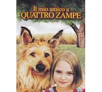 Il mio amico a quattro zampe [Italia] [DVD]