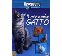 Il Mio Amico Gatto [Italia] [DVD]
