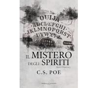 Il mistero degli spiriti. Snow & Winter (Vol. 5) (Rainbow)