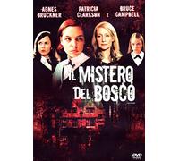 Il mistero del bosco [Italia] [DVD]