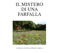 Il mistero di una farfalla