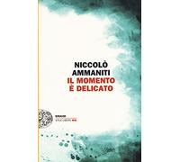 Il momento è delicato (Einaudi. Stile libero big)