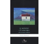 Il mondo c'è ancora. Città, territorio, ambiente (Piani di salvezza)