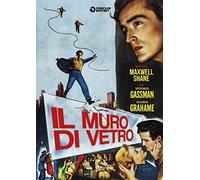 Il Muro Di Vetro [DVD]
