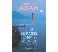Il ne se passe jamais rien ici: Roman