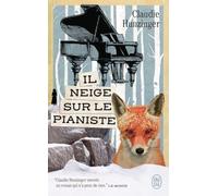 Il neige sur le pianiste