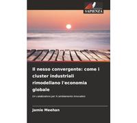 Il nesso convergente: come i cluster industriali rimodellano l'economia globale: Un catalizzatore per il cambiamento innovativo