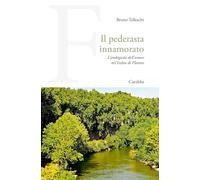 Il pederasta innamorato. L'ambiguità dell'amore nel Fedro di Platone (Universale Carabba)