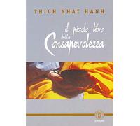 Il piccolo libro della consapevolezza (Schegge di saggezza)