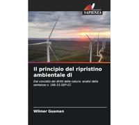 Il principio del ripristino ambientale di: Dal concetto dei diritti della natura: analisi della sentenza n. 166-15-SEP-CC