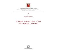 Il principio di efficienza nel diritto privato (Dipartimento di Giurisprudenza, Studî politici e internazionali dell’Università degli Studi di Parma)