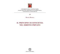 Il principio di efficienza nel diritto privato (Dipartimento di Giurisprudenza, Studî politici e internazionali dell’Università degli Studi di Parma)