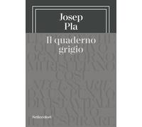 Il quaderno grigio (Di là dal fiume e tra gli alberi)