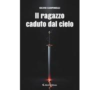 Il ragazzo caduto dal cielo (I diamanti)