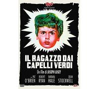 Il Ragazzo Dai Capelli Verdi [Italia] [DVD]