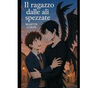 Il ragazzo dalle ali spezzate: Due ragazzi, un segreto, un amore che può cambiare tutto