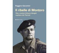 Il ribelle di Montoro. Vita e morte di Alvaro Litargini capitano dei Patrioti (Storia, storie)