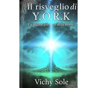 Il risveglio di Y.O.R.K: Un legame più forte della morte