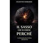 Il sasso che si chiese perché: La domanda più pericolosa sull'universo