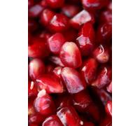 IL SEME DELLA VITA: Dal buio della terra alla luce della coscienza (Risonanze e Somiglianze)