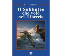 Il Subbuteo che volò nel Libeccio
