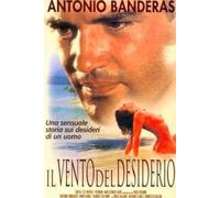 Il Vento Del Desiderio [Italia] [DVD]