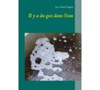 Il Y A Du Gaz Dans Leau (ebook)