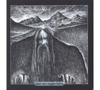 Ildjarn / hate forest - Those once mighty fallen
