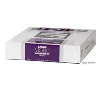 Ilford 1 x 25 MG RC DL 1M 18 x 24