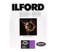 Ilford MG ART 300 - Lote de 30 hojas (9,5 x 12 pulgadas)
